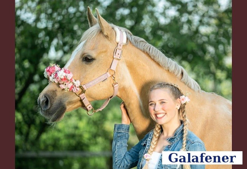 Hella Gabbert mit ihrem Palomino Golum